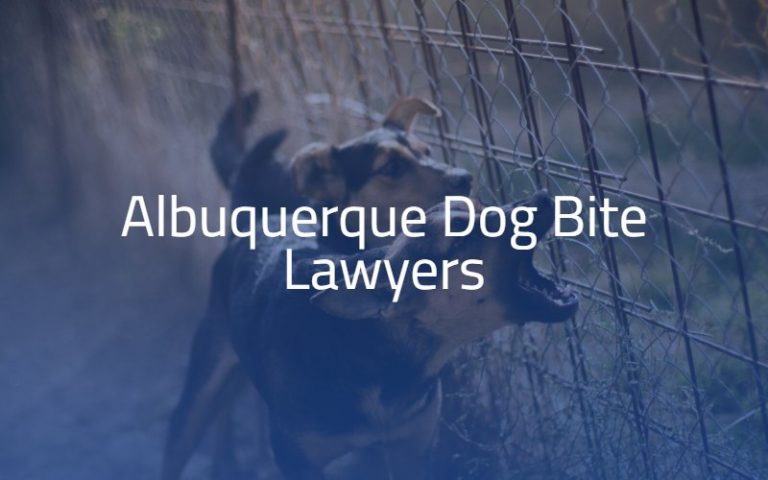 Get Albuquerque Dog Bite Attorney - Ring Jimenez, P.C