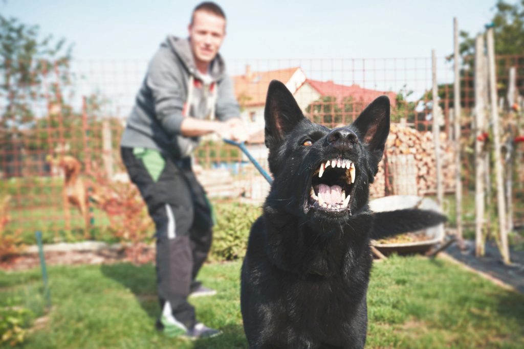 Man holding barking black dog