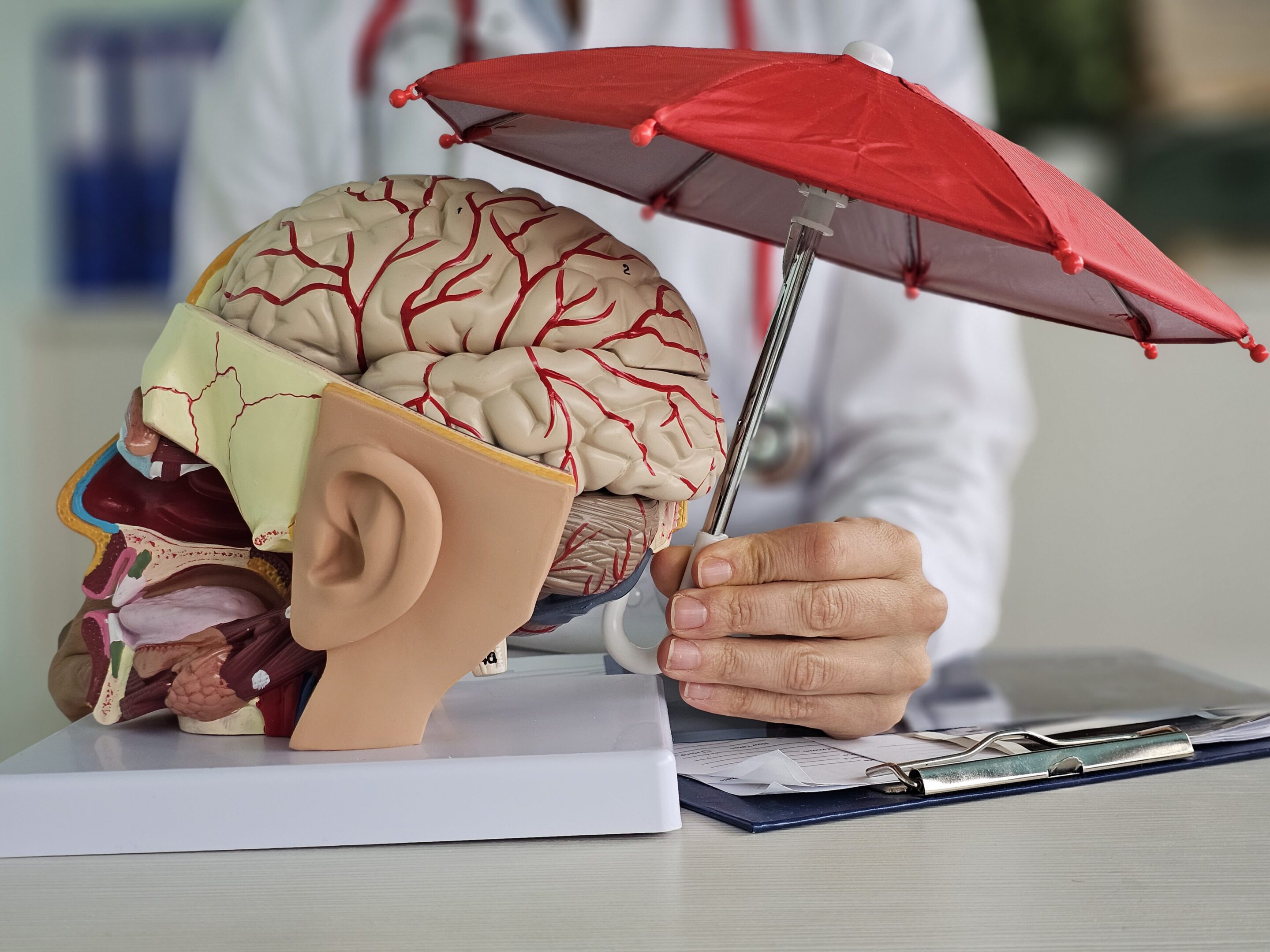 Doctor holding umbrella over brain model