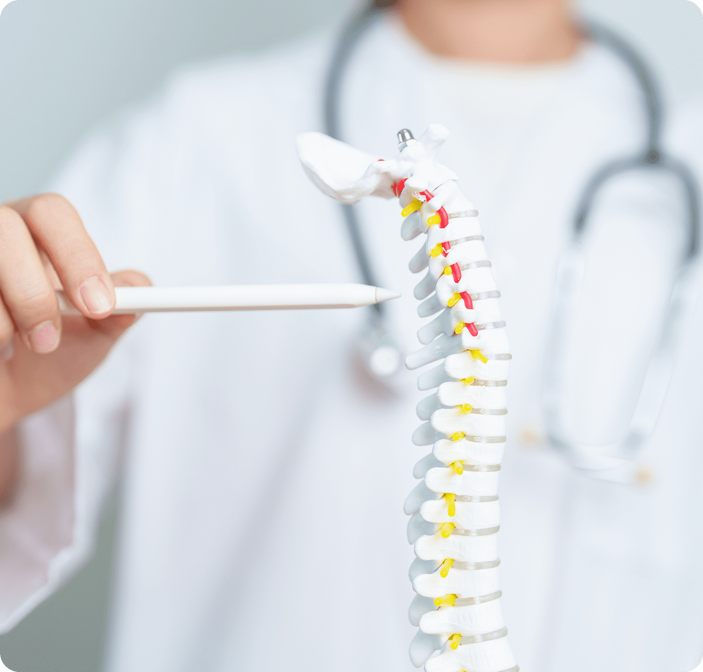 Spine anatomy explained by doctor